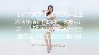 短裙白内透明大翅膀美女