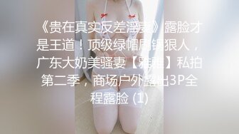 《贵在真实反差淫妻》露脸才是王道！顶级绿帽刷锅狠人，广东大奶美骚妻【雅雅】私拍第二季，商场户外露出3P全程露脸 (1)