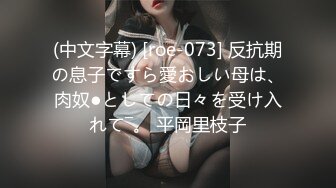 (中文字幕) [roe-073] 反抗期の息子ですら愛おしい母は、肉奴●としての日々を受け入れて―。 平岡里枝子