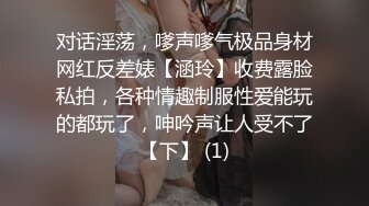 海口暴力后入宝马美女