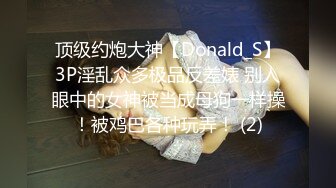 顶级约炮大神【Donald_S】3P淫乱众多极品反差婊 别人眼中的女神被当成母狗一样操！被鸡巴各种玩弄！ (2)