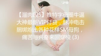 【溜肉段S】推特字母圈牛逼大神最新VIP付费，脉冲电击捆绑炮击各种花样SM母狗，痛苦与兴奋来回穿梭 (3)