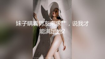 大象傳媒 AV0054 巨乳小三的計謀