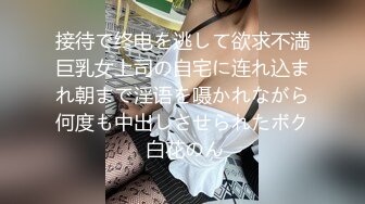 接待で终电を逃して欲求不満巨乳女上司の自宅に连れ込まれ朝まで淫语を嗫かれながら何度も中出しさせられたボク 白花のん