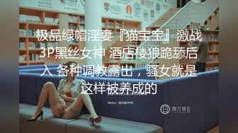 大腿纹身网红骚货  吊带装黑丝袜  跪地口交活很不错  69姿势舔逼 每个姿势操一遍