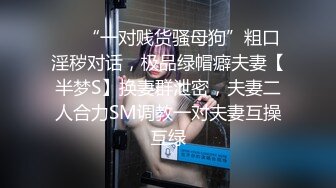 ⚫️“一对贱货骚母狗”粗口淫秽对话，极品绿帽癖夫妻【半梦S】换妻群泄密，夫妻二人合力SM调教一对夫妻互操互绿