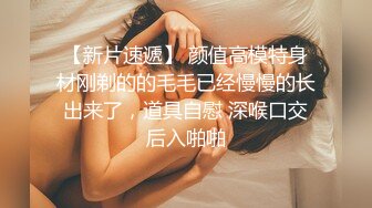 STP17450 高颜值长相甜美白皙妹子和纹身男友啪啪，情趣装网袜舔逼震动棒插入69上位骑坐