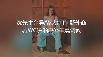 沈先生金导AV大制作 野外商城WC啪啪户外车震调教