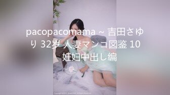 0531全自动炮机