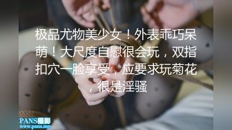 《极品反差✿淫妻泄密》推特火爆淫荡翘臀骚母狗【芬姬夏妓】不雅私拍全集，公园露出调教野战潮喷大号道具紫薇淫水泛滥