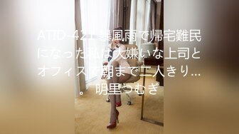 极品欲女【南方联合国际体模】平安夜约炮铁粉停车场偷情野战 美乳大长腿一字马站炮 战况激烈超刺激