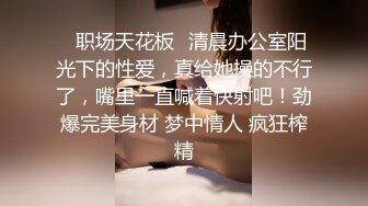 91新人淮左刘郎-想尽各种方法折磨美女空姐