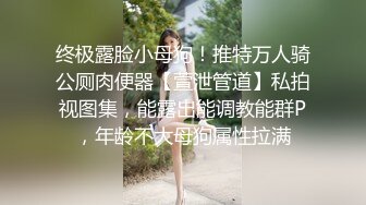 终极露脸小母狗！推特万人骑公厕肉便器【萱泄管道】私拍视图集，能露出能调教能群P，年龄不大母狗属性拉满