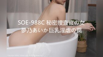 SOE-988C 秘密捜査官の女夢乃あいか巨乳淫虐の罠