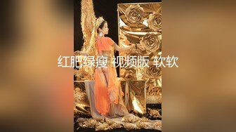 【模特写真拍摄丶探花】文静小美女，话比较少摆弄姿势，脱下内裤掰穴，换上性感连体网袜