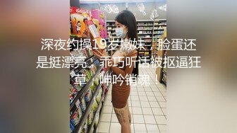 麻豆傳媒 MDHG-0027 這個面試有點硬 台大學霸AV女優 魏喬安