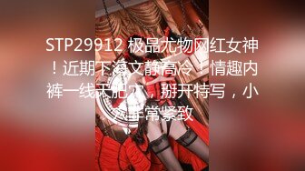 STP29912 极品尤物网红女神！近期下海文静高冷！情趣内裤一线天肥穴，掰开特写，小穴非常紧致