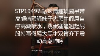 骚哎就是少