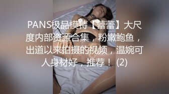 PANS极品模特【蕾蕾】大尺度内部资源合集，粉嫩鲍鱼，出道以来拍摄的视频，温婉可人身材好，推荐！ (2)