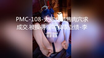 PMC-108-大胸女销售肉穴求成交.被操得淫叫换取业绩-李蓉蓉