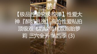 [高清无水印]91系列哥最新情景巨作-女警系列第三部：互相伤害 ～1080P高清无水印_48分钟完整原版