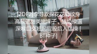 [2DF2]李寻欢探花花臂纹身高颜值甜美嫩妹子，舔奶摸逼深喉口交翘起屁股后入猛操 [BT种子]