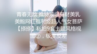 青春无敌 推特顶级身材美乳美鲍网红福利姬超人气女菩萨【搽搽】私拍9套主题风格视图②，极度反差