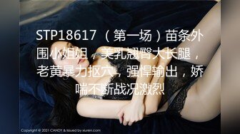 丰臀美乳留学生李凯莉和男友黑丝情趣啪啪 无套骑乘插出白浆