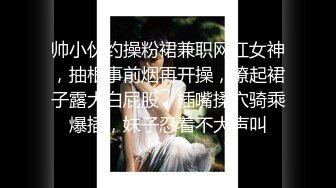 鸭王.TheGigolo（蓝光高清国语中字）