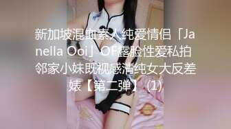 pacopacomama ~ 米崎真理 54岁 巨乳五十路妻の夜中の露出散歩