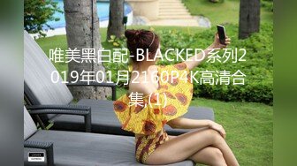 唯美黑白配-BLACKED系列2019年01月2160P4K高清合集,(1)