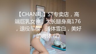 【CHANEL】ST专卖店，高端巨乳女神，大长腿身高176，退役车模，通体雪白，美好的肉体 (2)