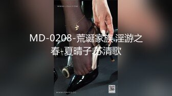 MD-0208-荒诞家族.淫游之春-夏晴子.苏清歌