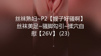 豪歌 NO.023 雷姆圣诞特典