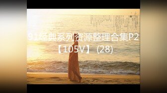 91经典系列资源整理合集P2【105V】 (28)