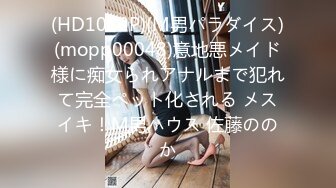 Mywife 2011 No.1382 佐野 麻美 蒼い再会|セレブクラブ舞ワイフ