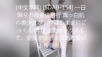 (中文字幕) [DVDMS-690] 色白デカ尻の家事代行おばさんに即ハメ！デカチンの虜になった人妻が翌日勝手に押しかけてきたので満足するまで何度も中出ししてあげた 6